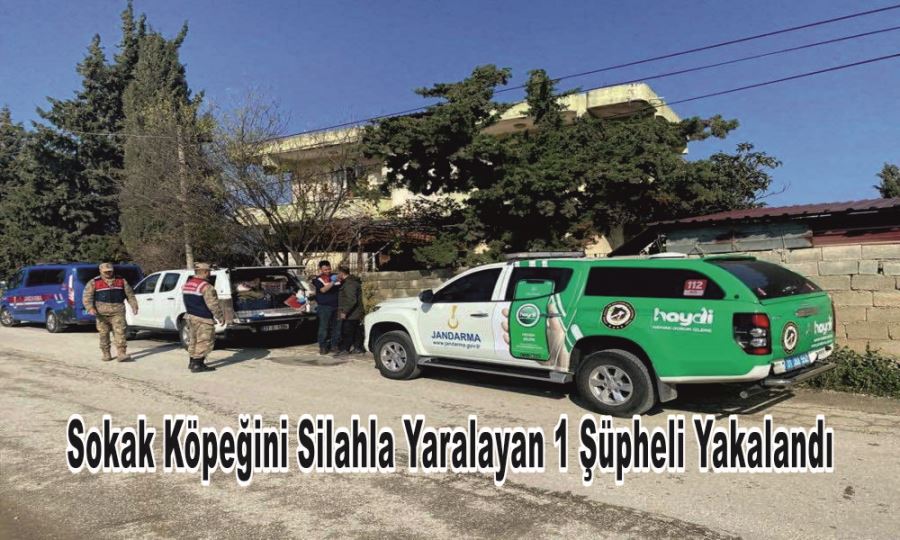 SOKAK KÖPEĞİNİ SİLAHLA YARALAYAN 1 ŞÜPHELİ YAKALANDI