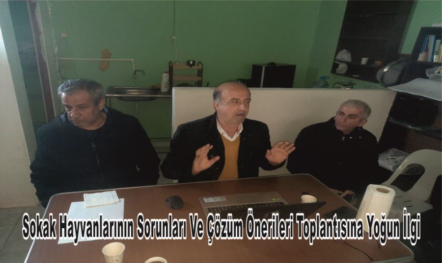 SOKAK HAYVANLARININ SORUNLARI VE ÇÖZÜM ÖNERİLERİ TOPLANTISINA YOĞUN İLGİ 