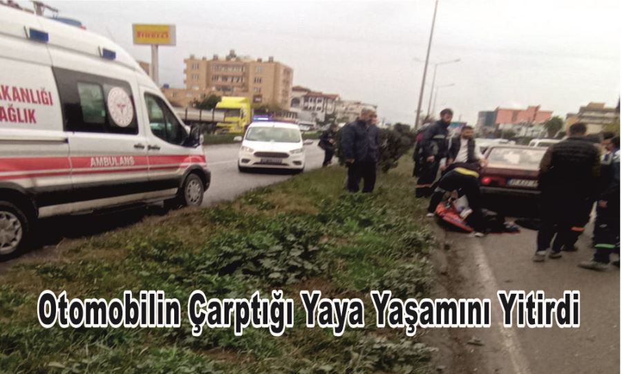 OTOMOBİLİN ÇARPTIĞI YAYA YAŞAMINI YİTİRDİ