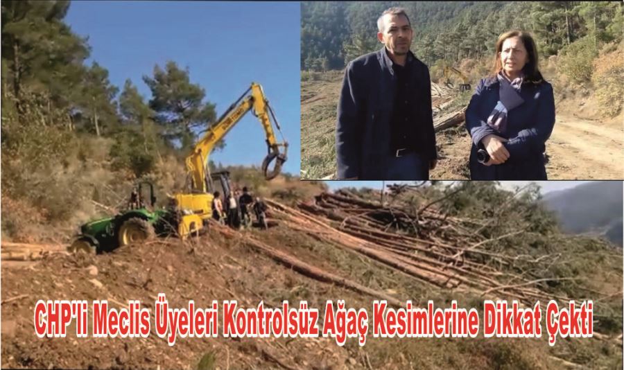 CHP’Lİ MECLİS ÜYELERİ KONTROLSÜZ AĞAÇ KESİMLERİNE DİKKAT ÇEKTİ