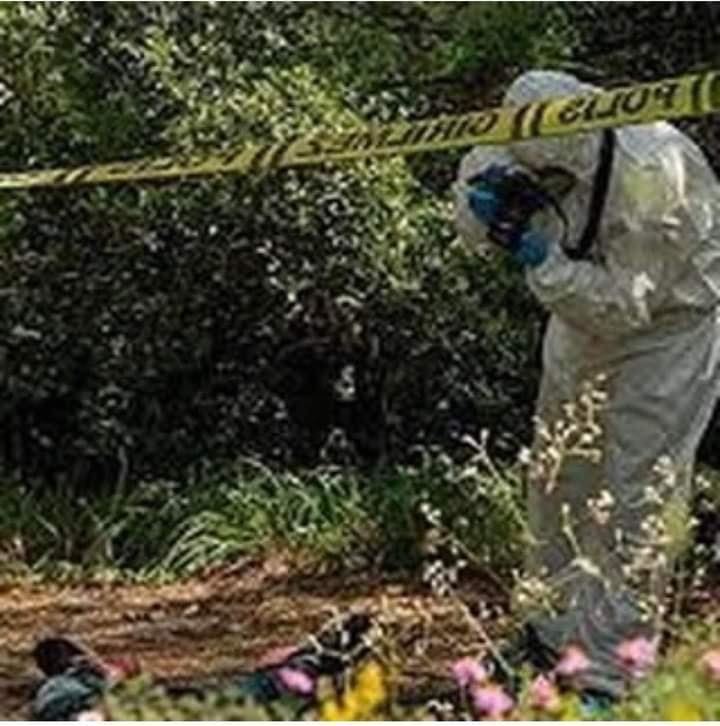 TARLADA PARÇALANMIŞ CESET BULUNDU