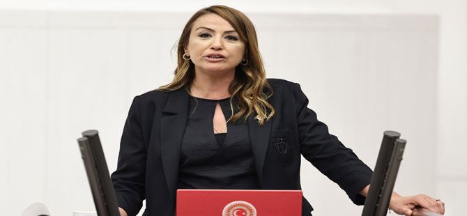 AİLE HEKİMLERİNİN SORUNLARI ÇÖZÜLMEZSE HALK SAĞLIĞI TEHLİKEYE GİRER