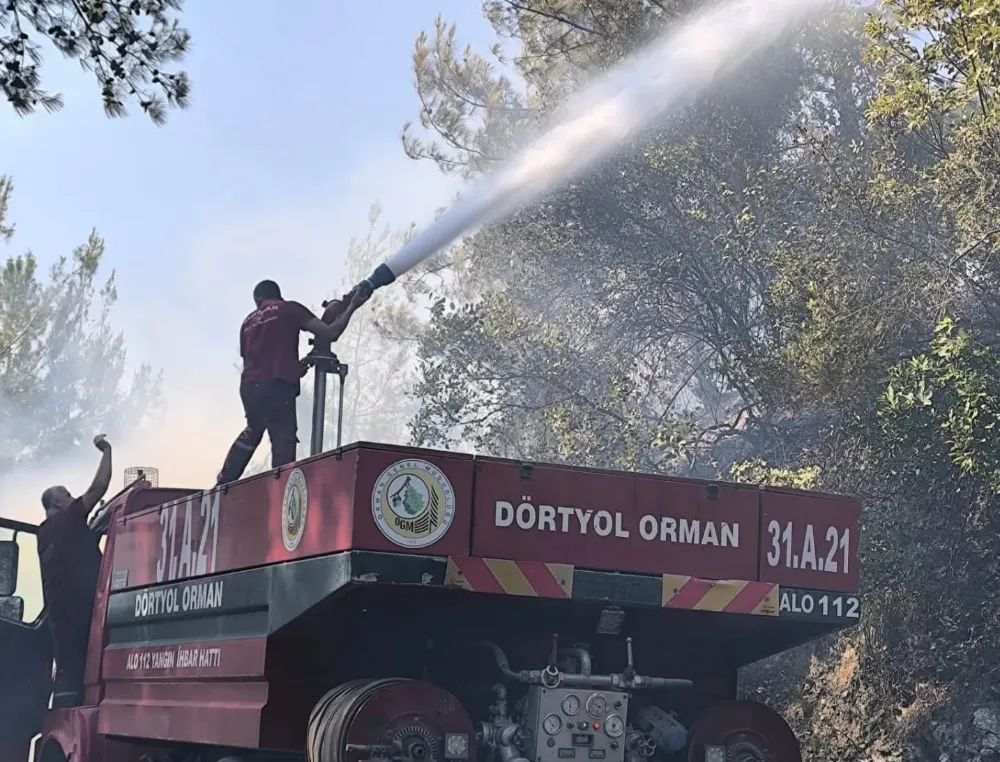 ÇÖKEK YAYLASI MEVKİİNDE ORMAN YANGINI ÇIKTI