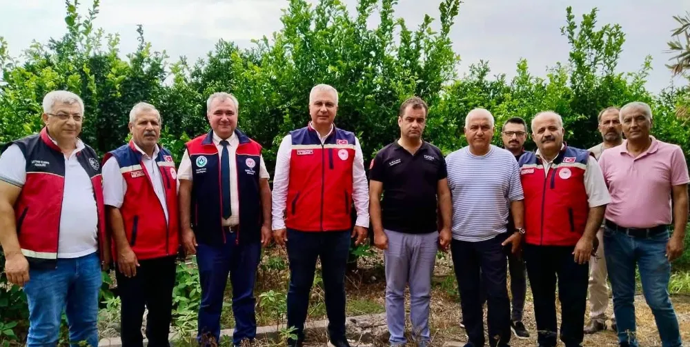 DÖRTYOL VE ERZİN